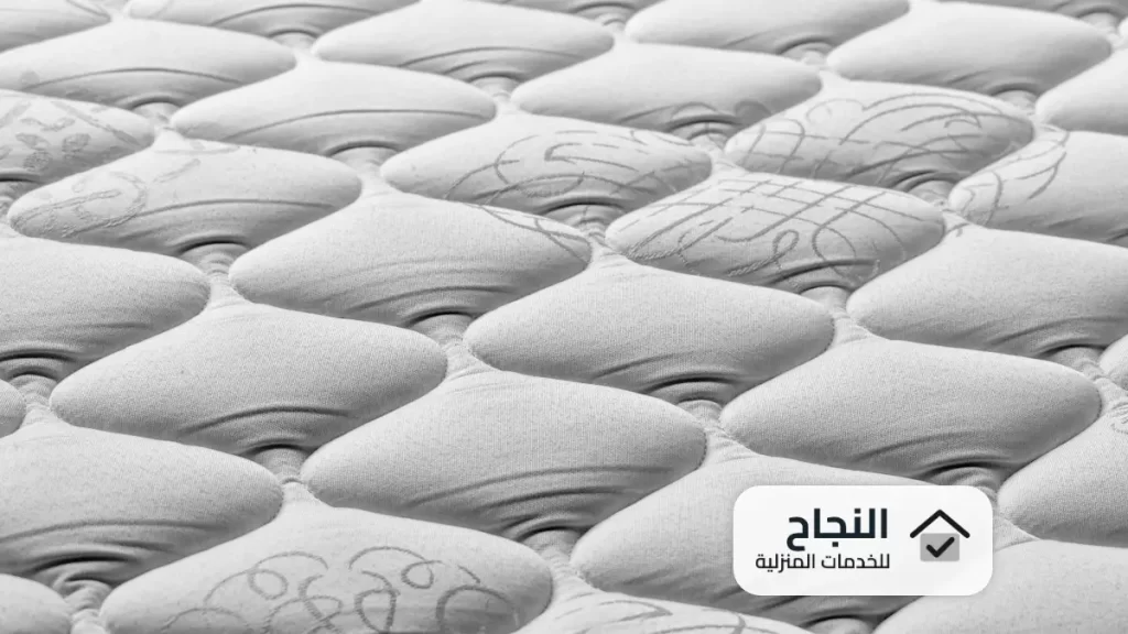 شركة مكافحة البق بالرياض