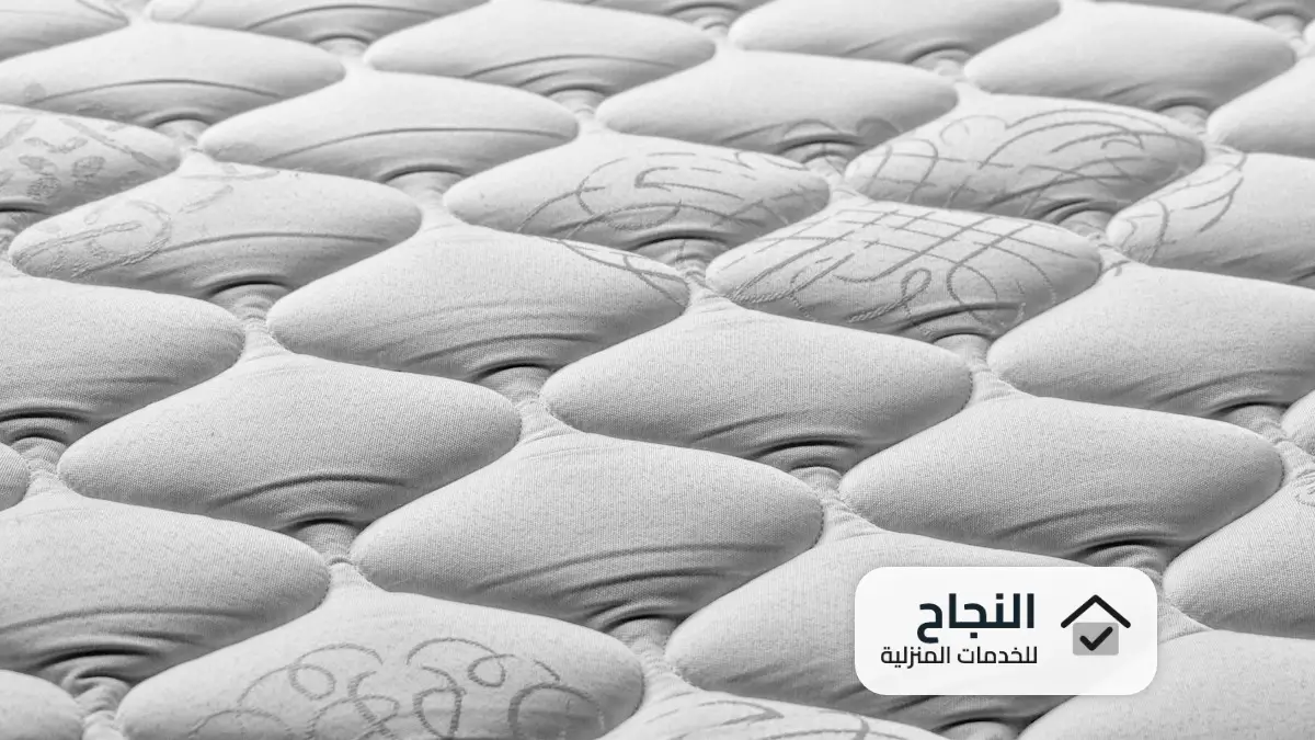 شركة مكافحة البق بالرياض