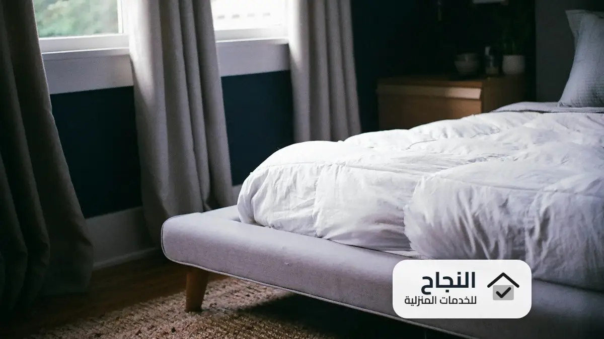 شركة مكافحة البق بالرياض