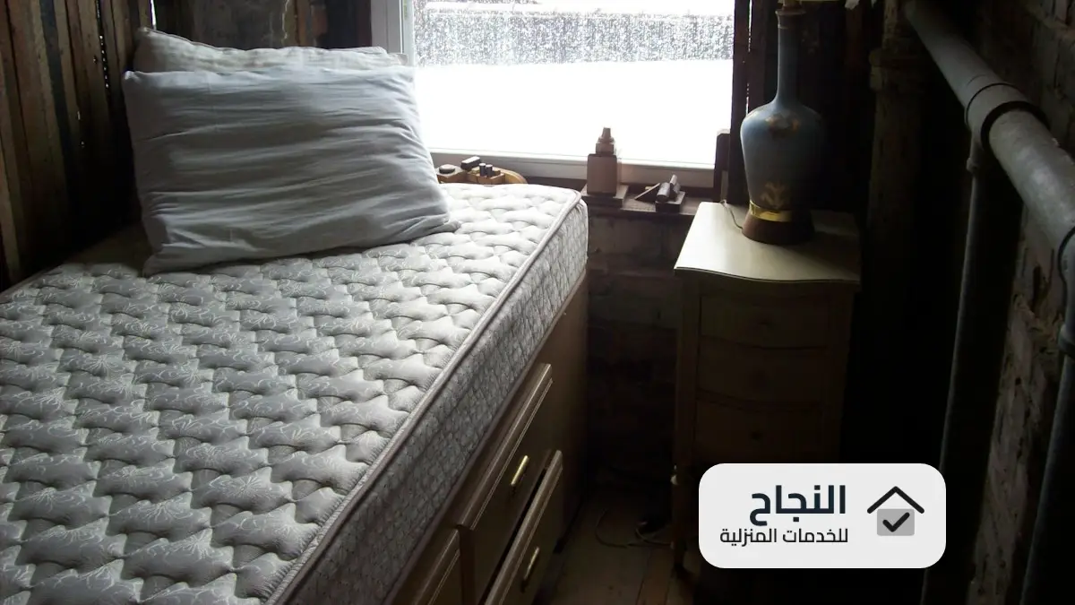 شركة مكافحة البق بجدة