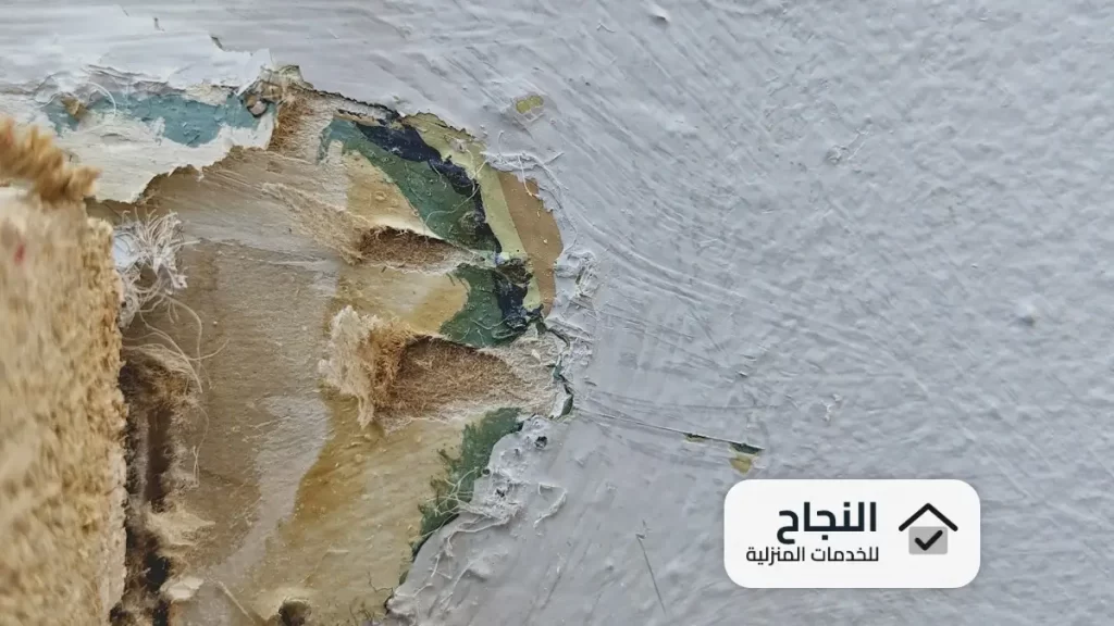 شركة كشف تسربات المياه بالرياض