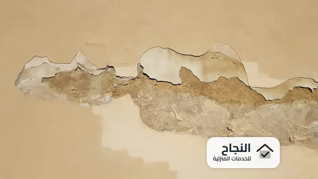 كشف تسربات المياه مجانا