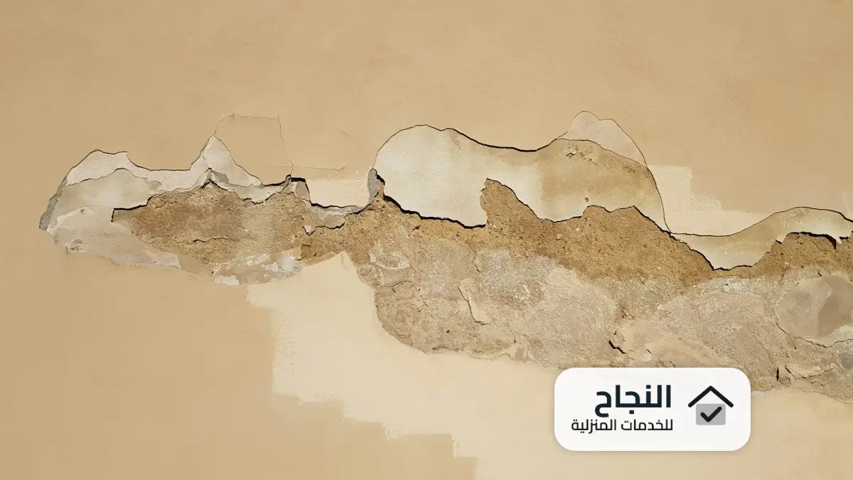 كشف تسربات المياه