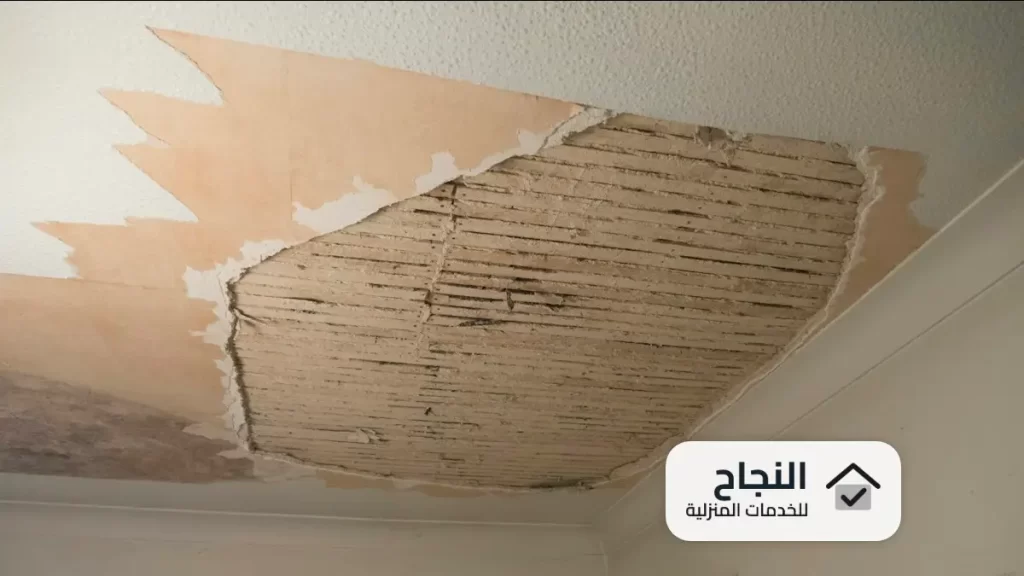 شركة كشف تسربات المياه شمال الرياض