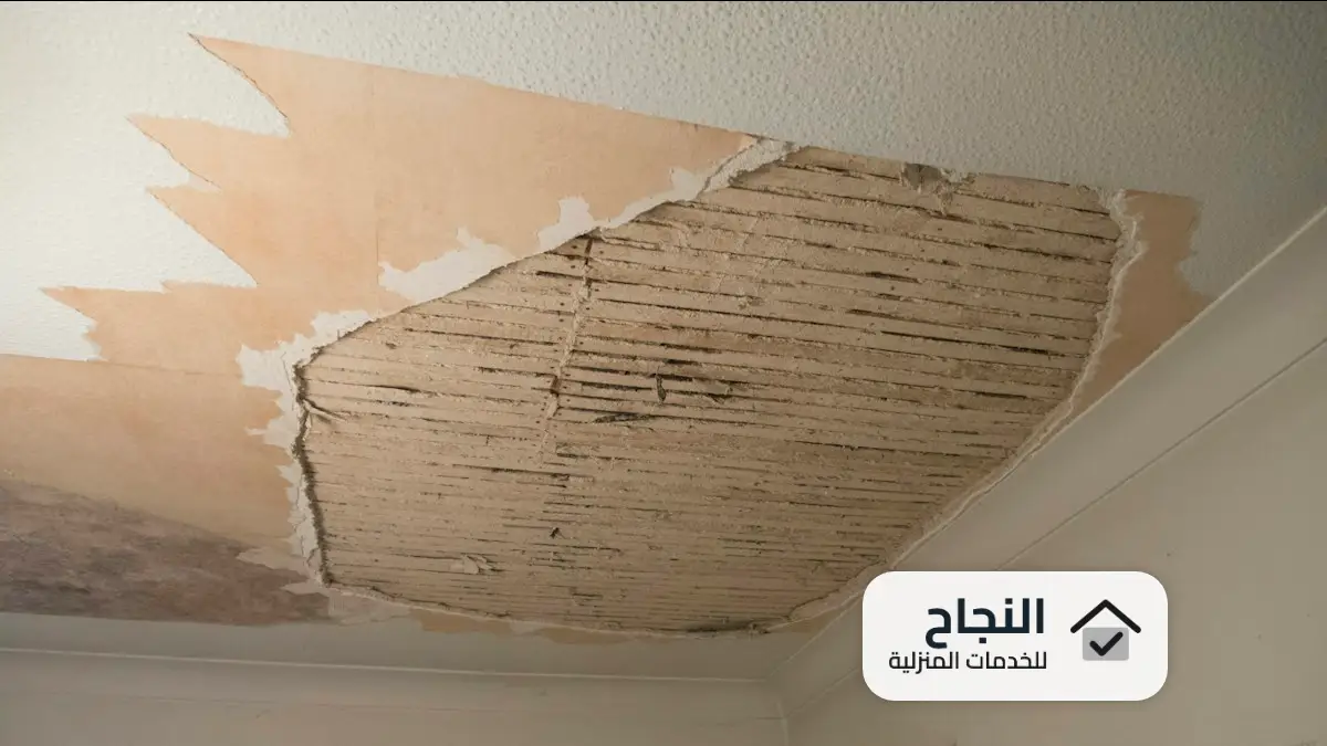 شركة كشف تسربات المياه شمال الرياض