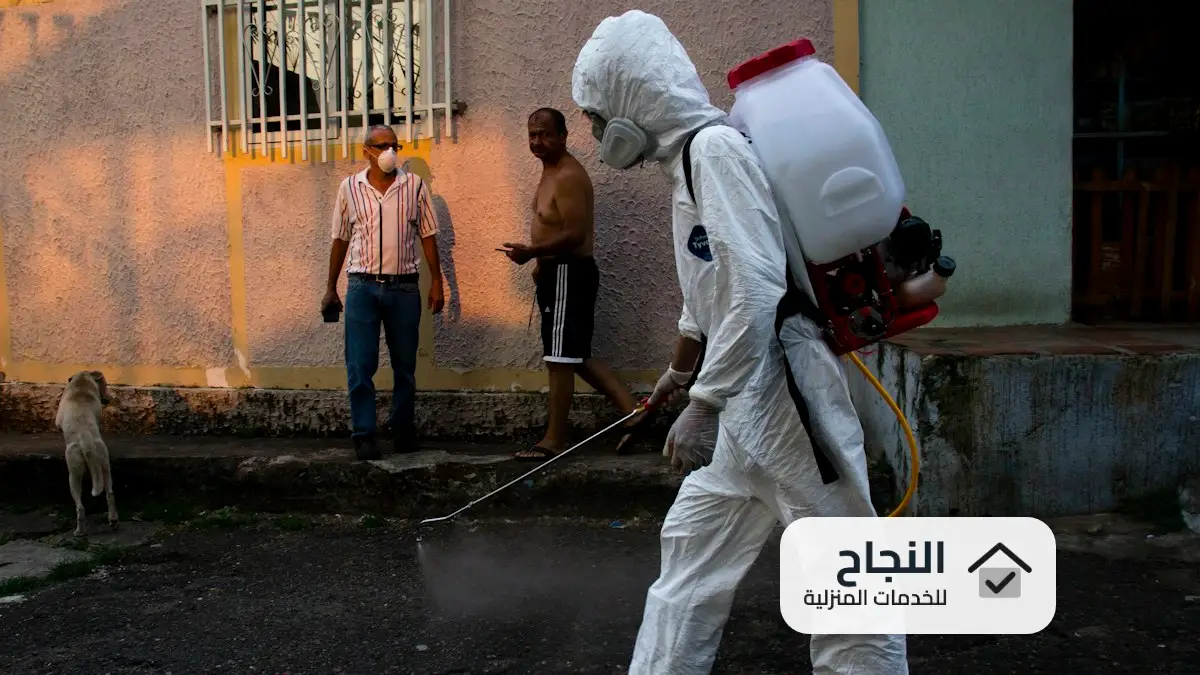 شركة مكافحة حشرات بالقصيم