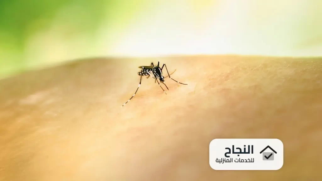 شركة رش مبيدات بالافلاج, شركة رش مبيدات بالأفلاج