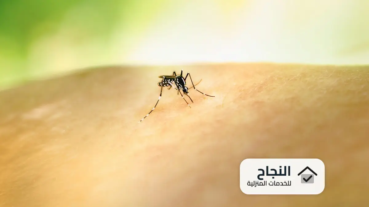شركة رش مبيدات بالافلاج, شركة رش مبيدات بالأفلاج