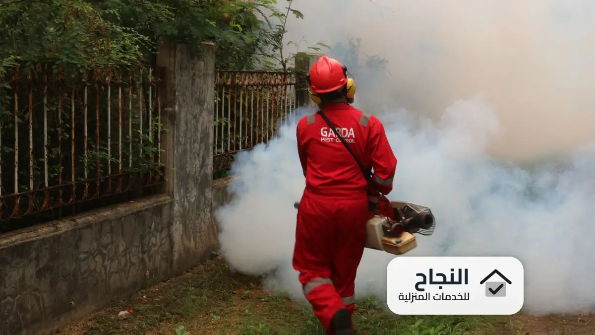 شركات رش المبيدات الحشرية بالرياض