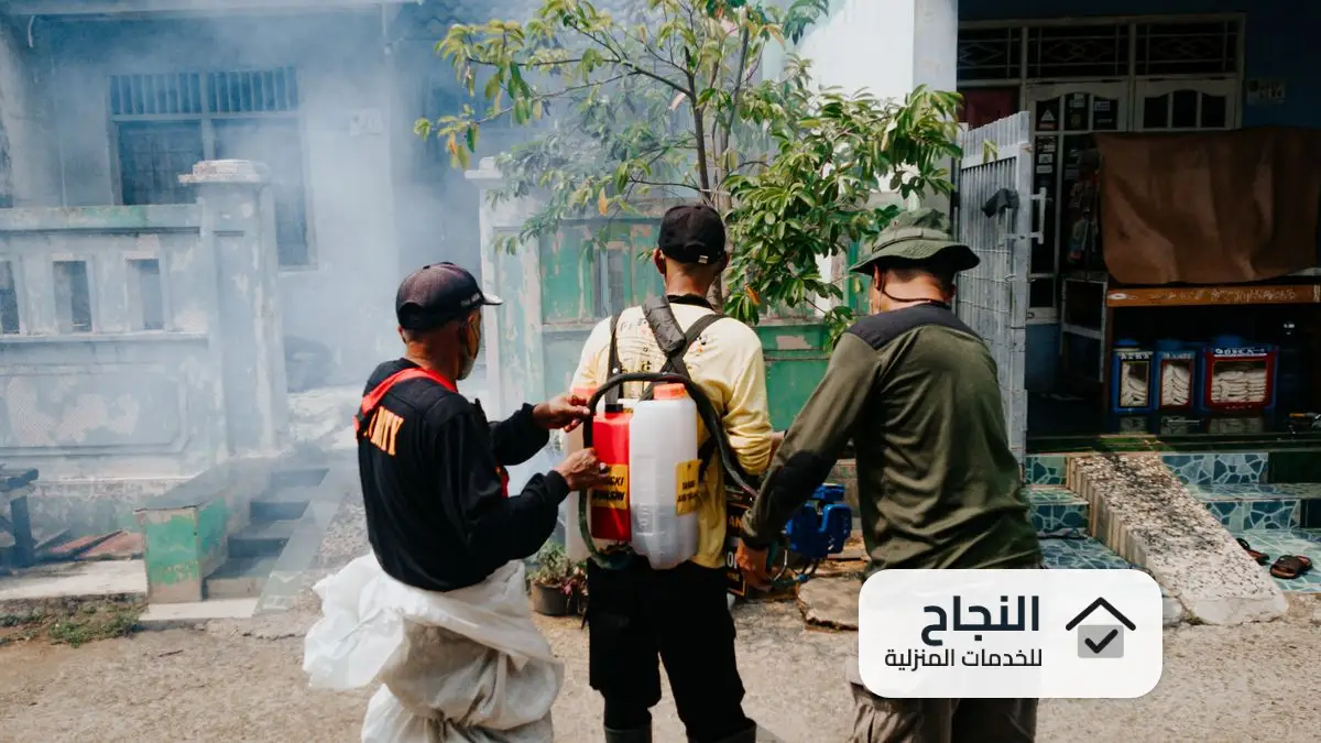 شركة مكافحة الباعوض بالرياض