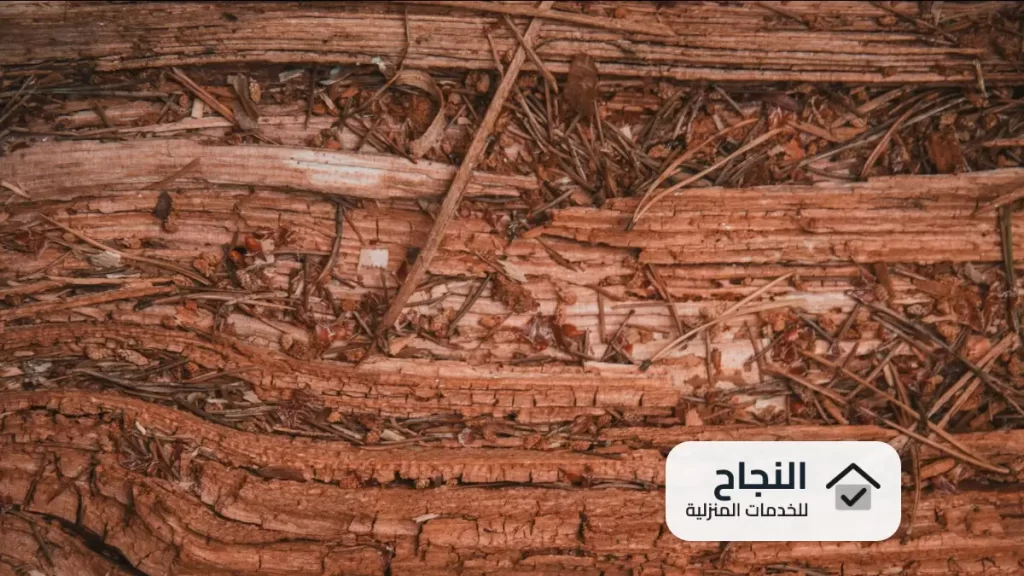 شركة مكافحة النمل الابيض بشقراء