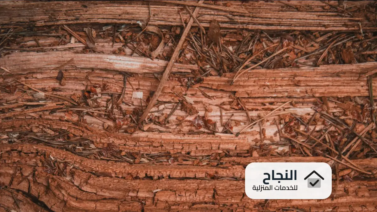 شركة مكافحة النمل الابيض بشقراء