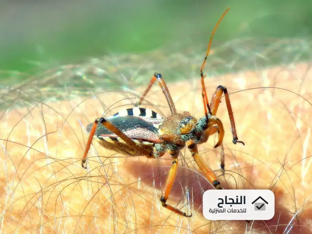 شركة مكافحة البرص بالرياض - 0502006070