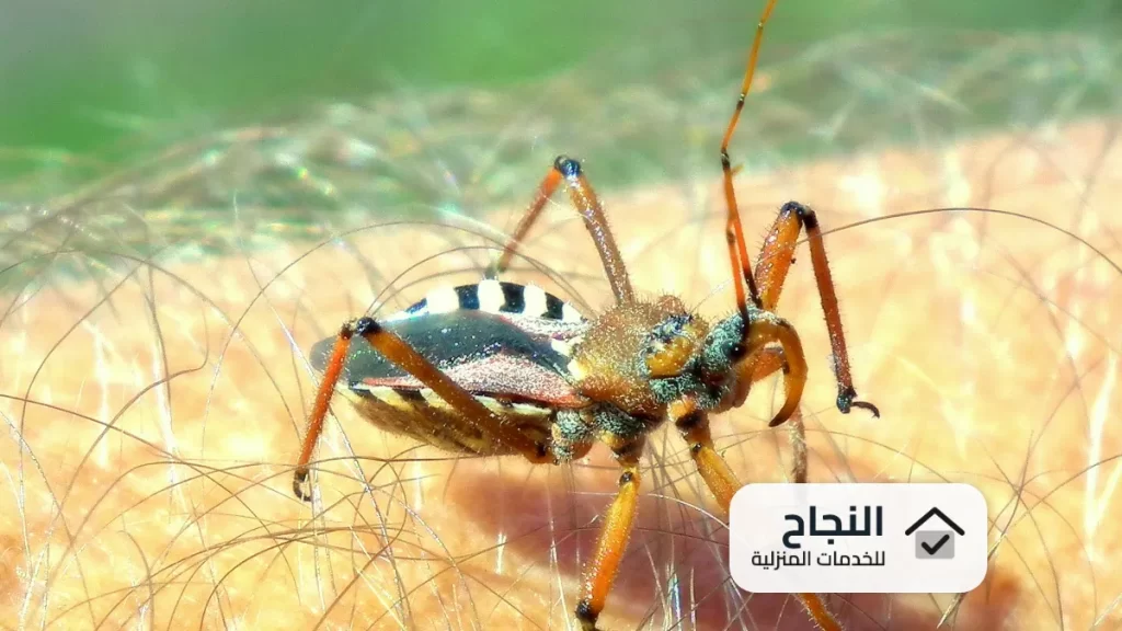 شركة مكافحة البرص بالرياض - 0502006070