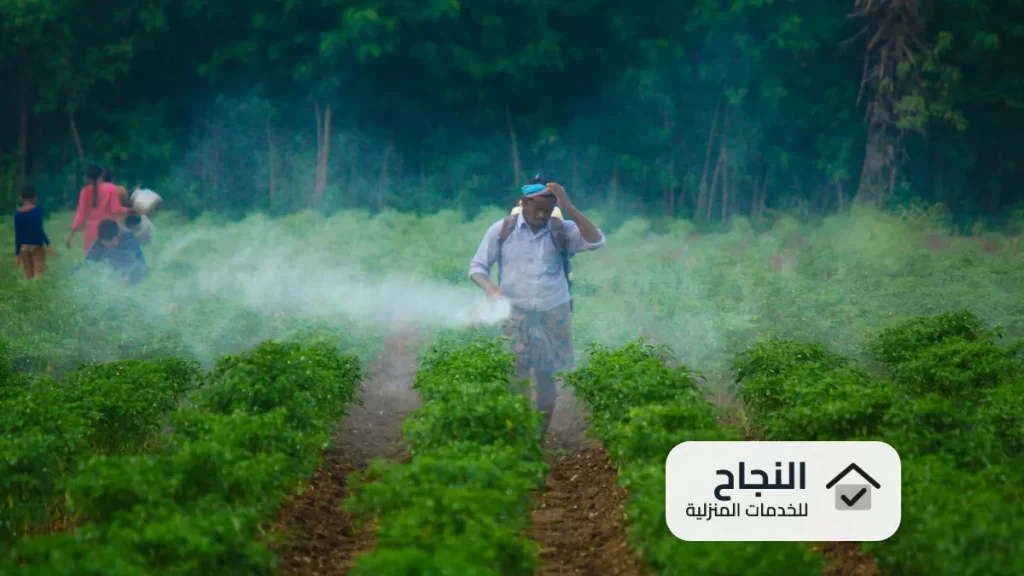 مكافحة الحشرات بالرياض - 0502006070