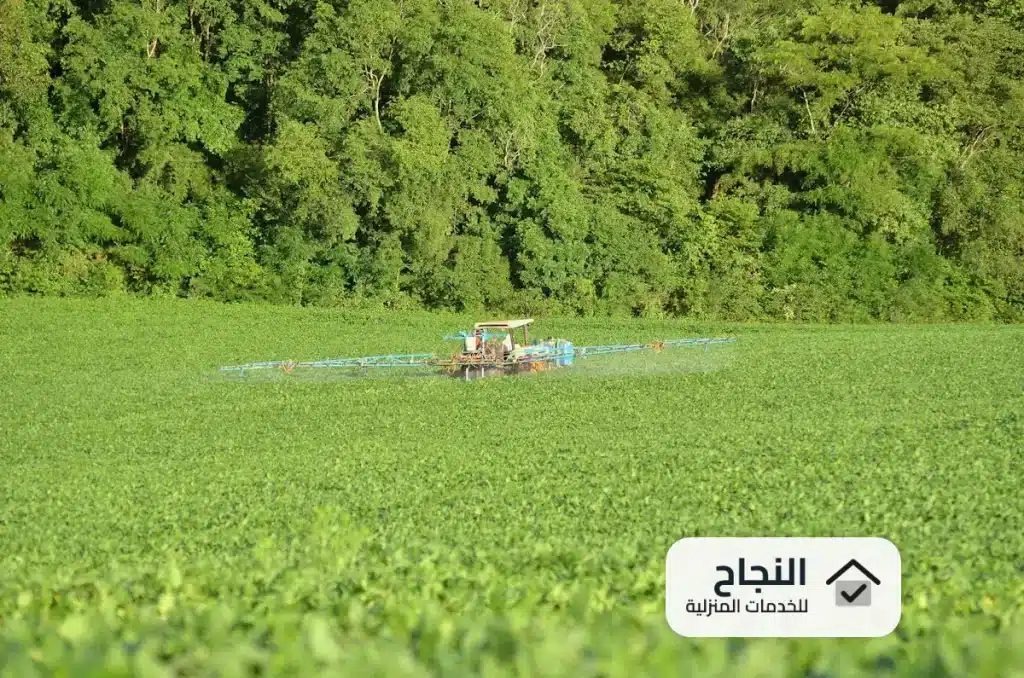 شركة رش مبيدات بحي السليمانية