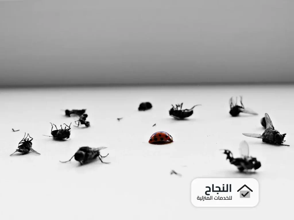 شركات رش المبيدات الحشرية بجدة  0502006070