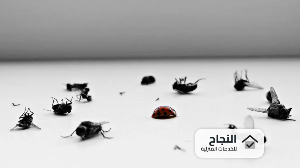 شركات رش المبيدات الحشرية بجدة  0502006070