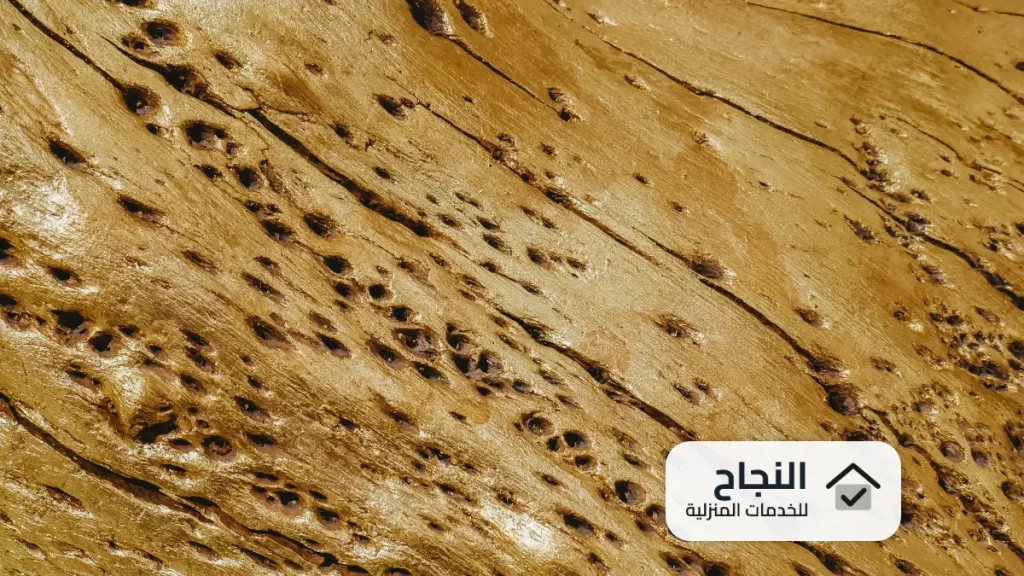 شركة مكافحة النمل الابيض بأبها - 0502006070