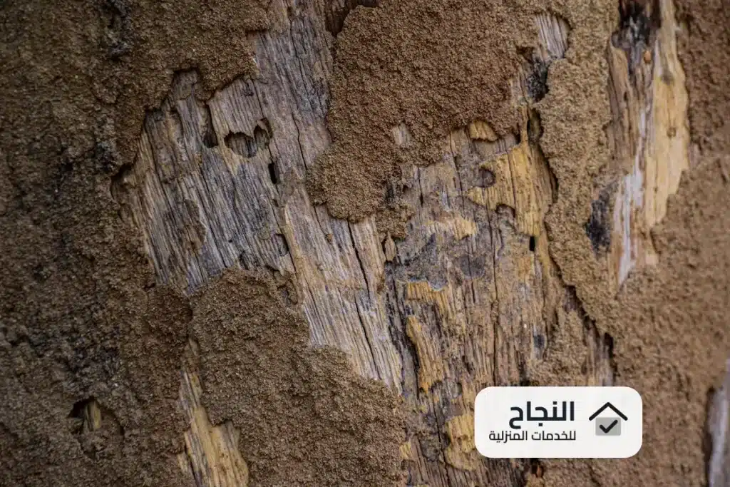 شركة مكافحة النمل الابيض بالخرج - 0502006070