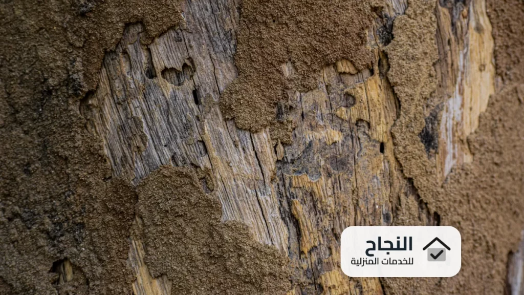 شركة مكافحة النمل الابيض بالخرج - 0502006070