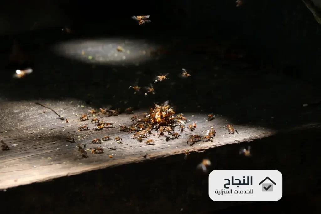 شركة مكافحة النمل الابيض بحريملاء  - 0502006070