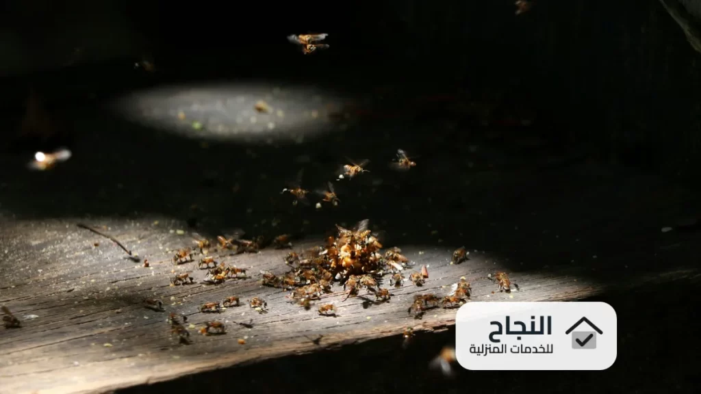 شركة مكافحة النمل الابيض بحريملاء  - 0502006070