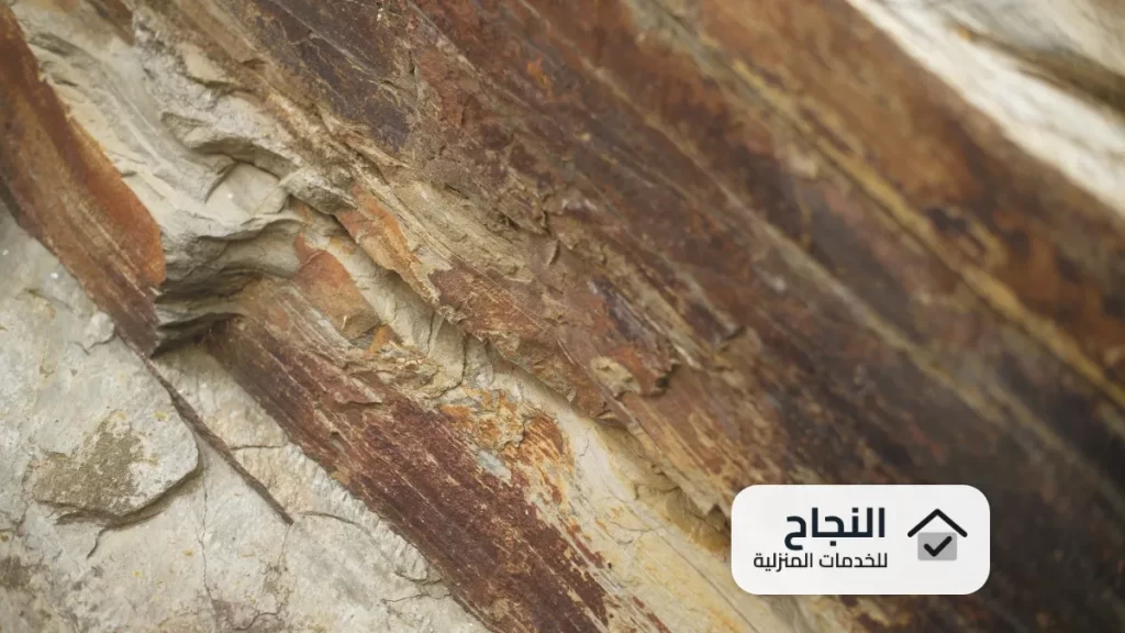 شركة مكافحة النمل الابيض بجدة