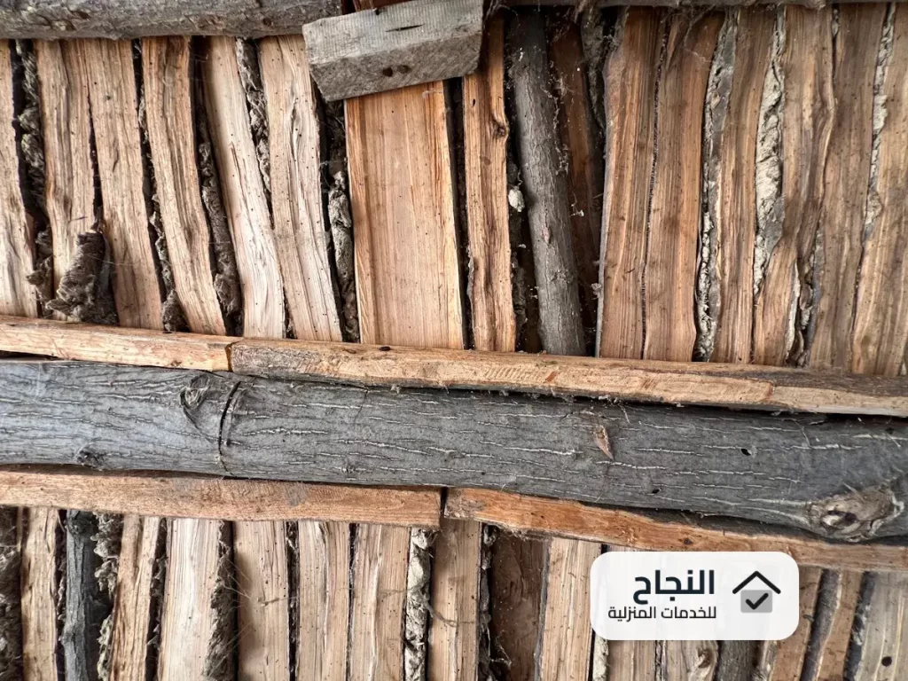 شركة مكافحة النمل الابيض بالجبيل