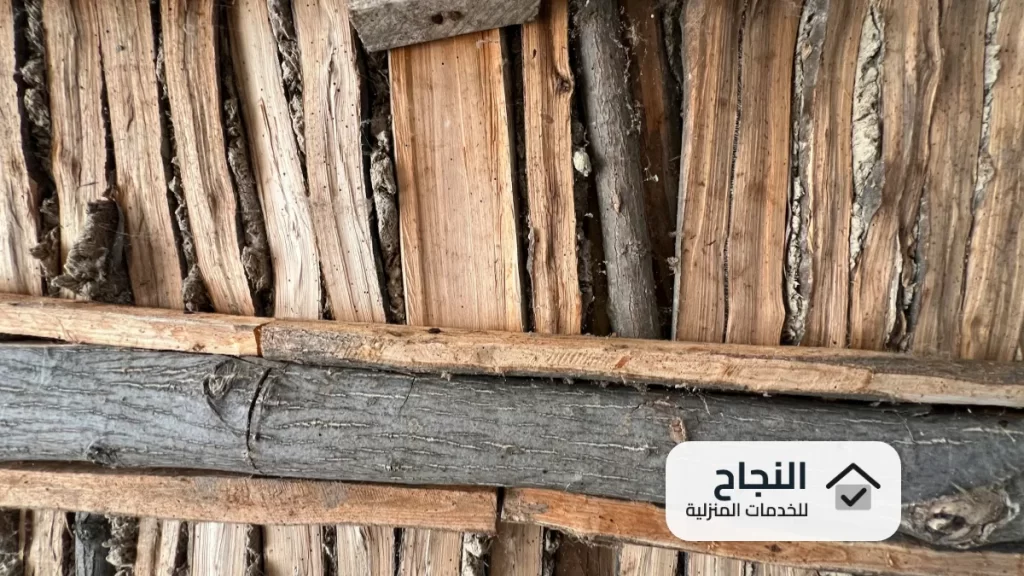 شركة مكافحة النمل الابيض بالجبيل