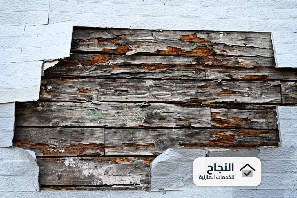 شركة مكافحة النمل الابيض بالخبر