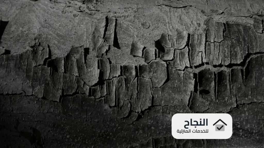 شركة مكافحة النمل الابيض بالقطيف