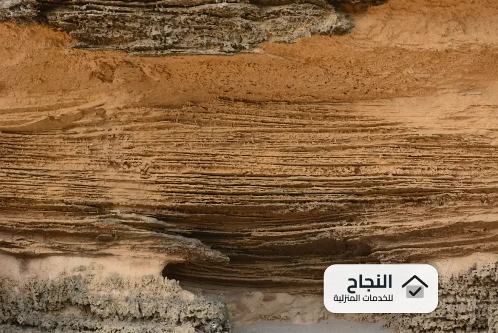 شركة مكافحة النمل الابيض بتبوك