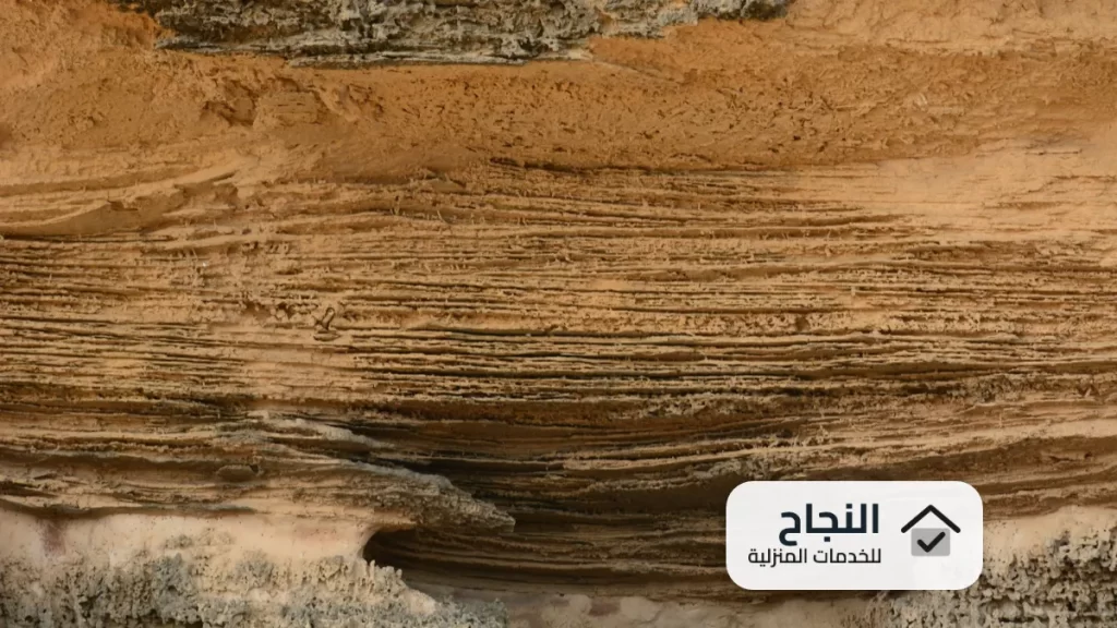 شركة مكافحة النمل الابيض بتبوك