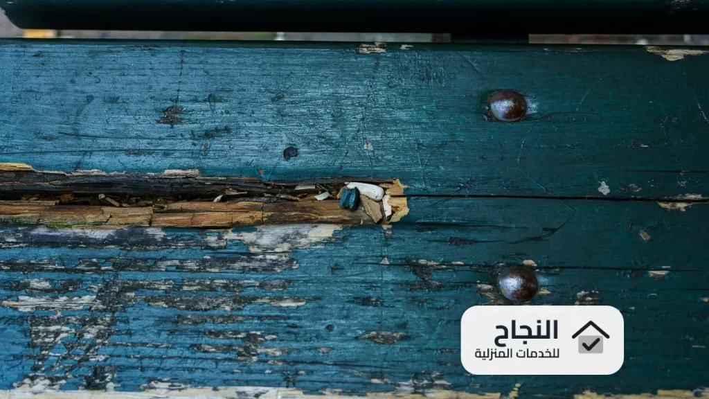 شركة مكافحة النمل الابيض بالطائف