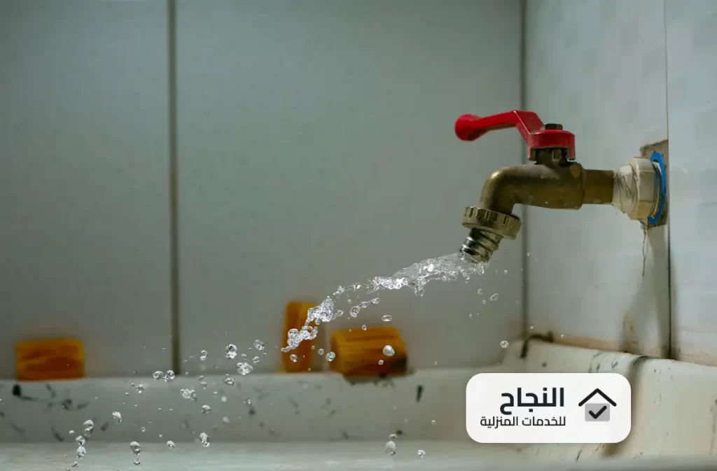 شركة كشف تسربات المياه بالسليل