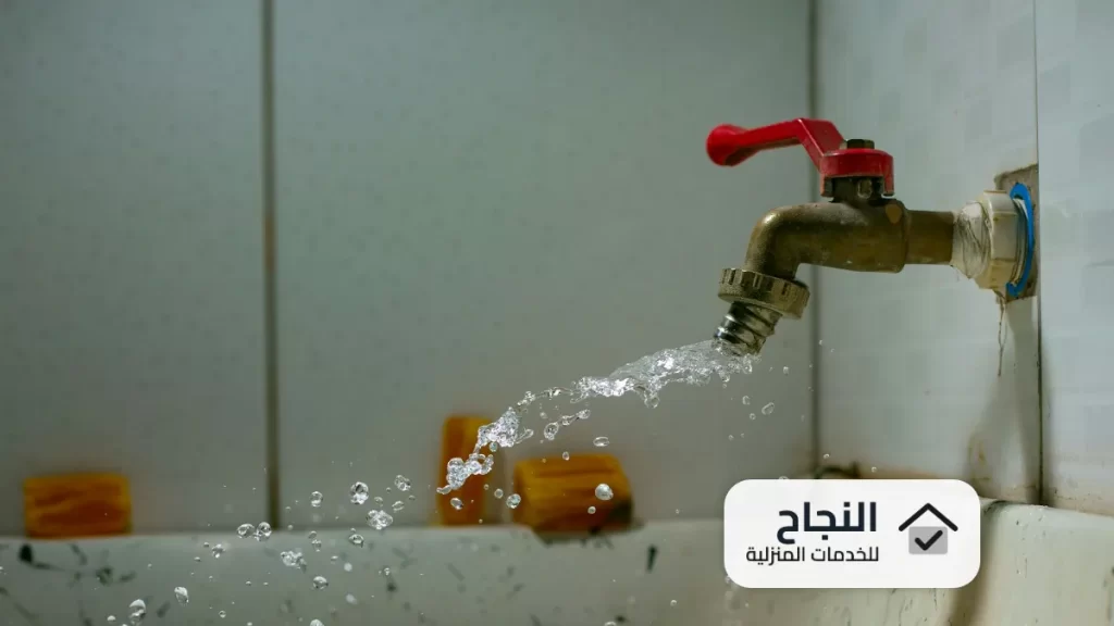 شركة كشف تسربات المياه بالسليل