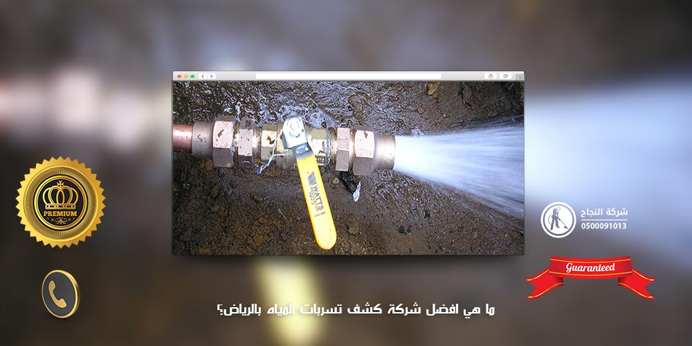 شركة كشف تسربات